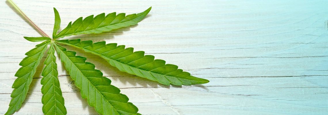 CBD Gummies For Kids