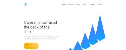 Poll option Skeleton screens image