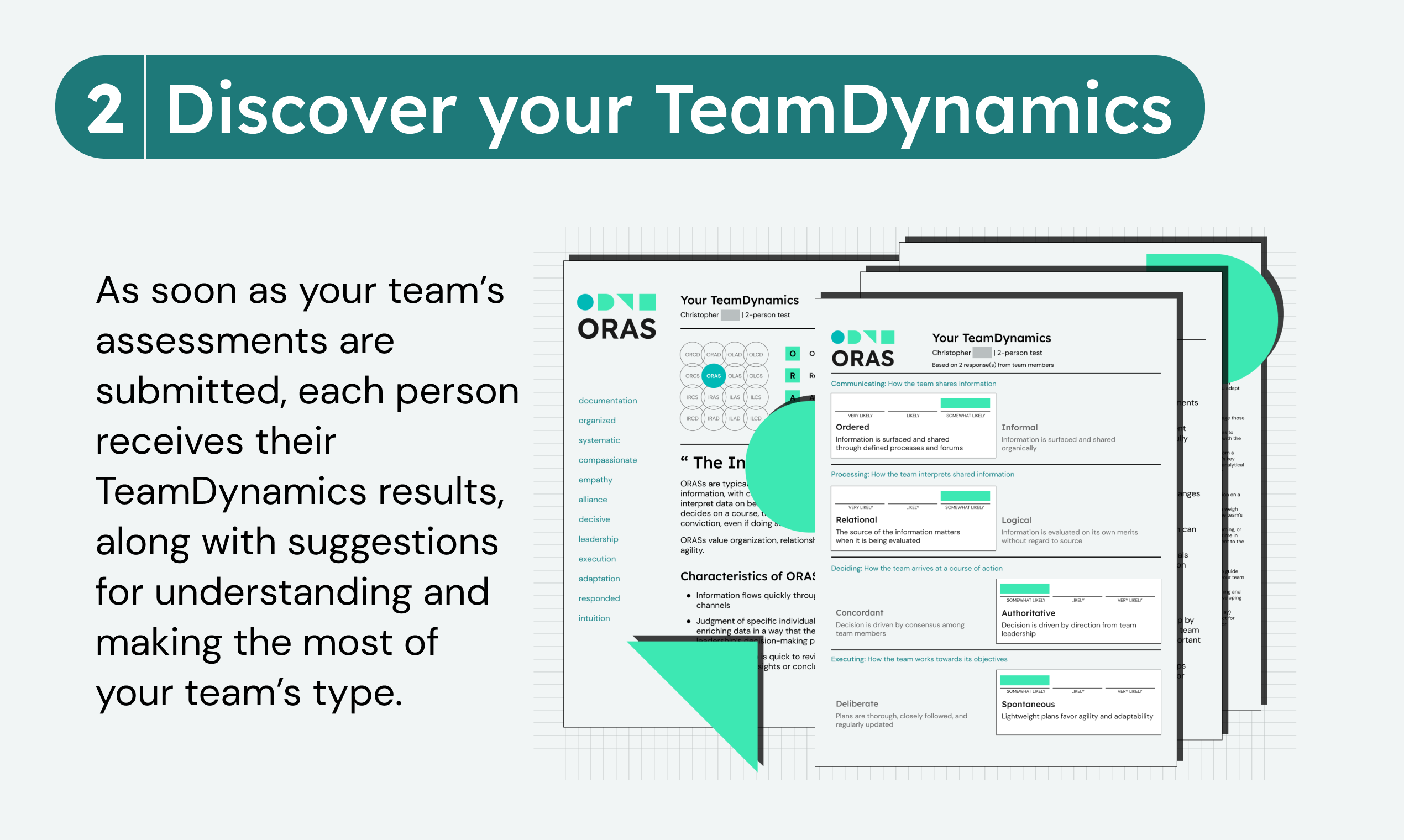 Teamdynamics - Modern takımlar için kişilik testi medya 4