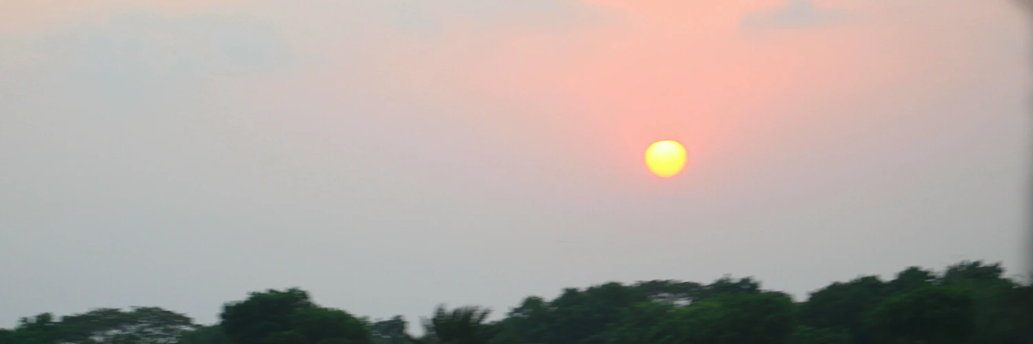 Tanjum 🔥 🚀🚀 cover