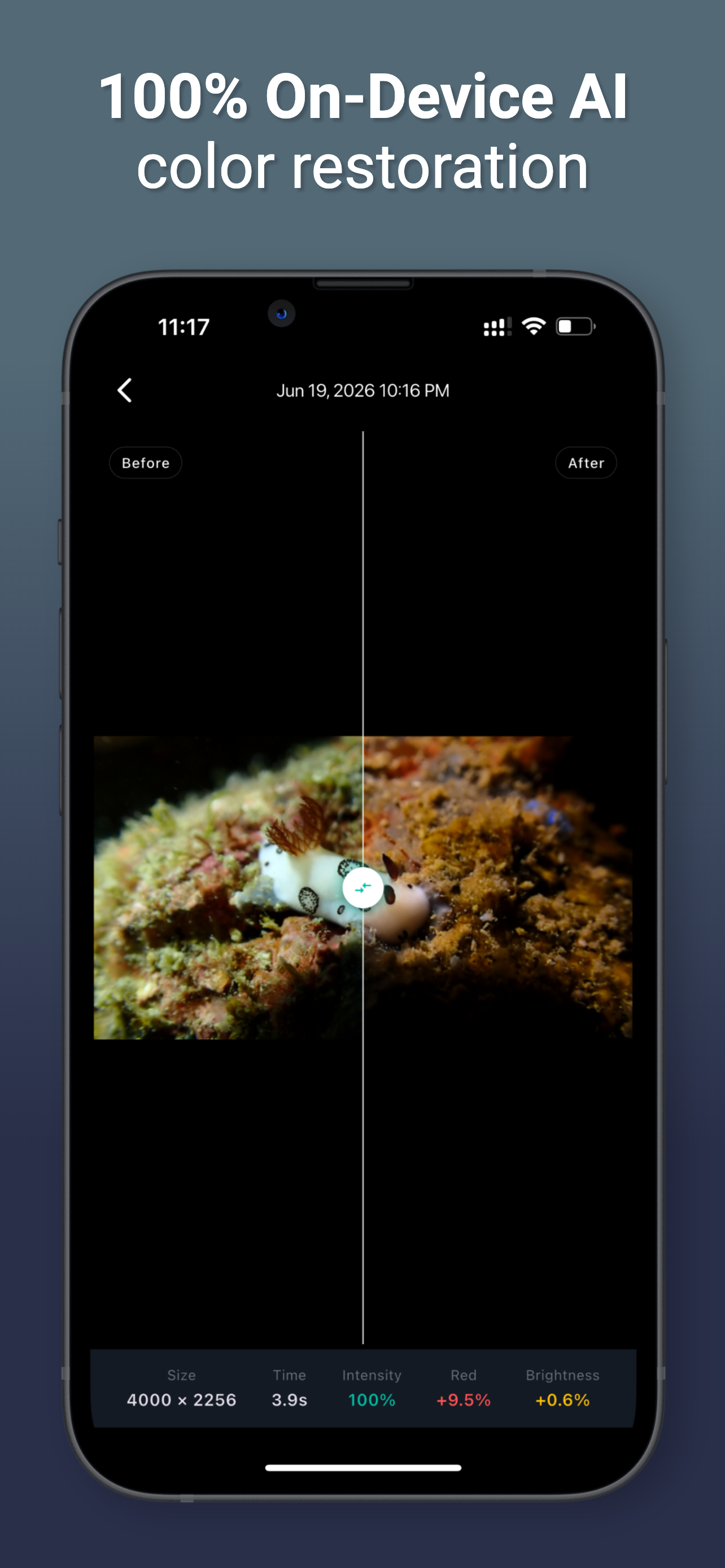 JellyFix: Underwater Colors Restore gallery image