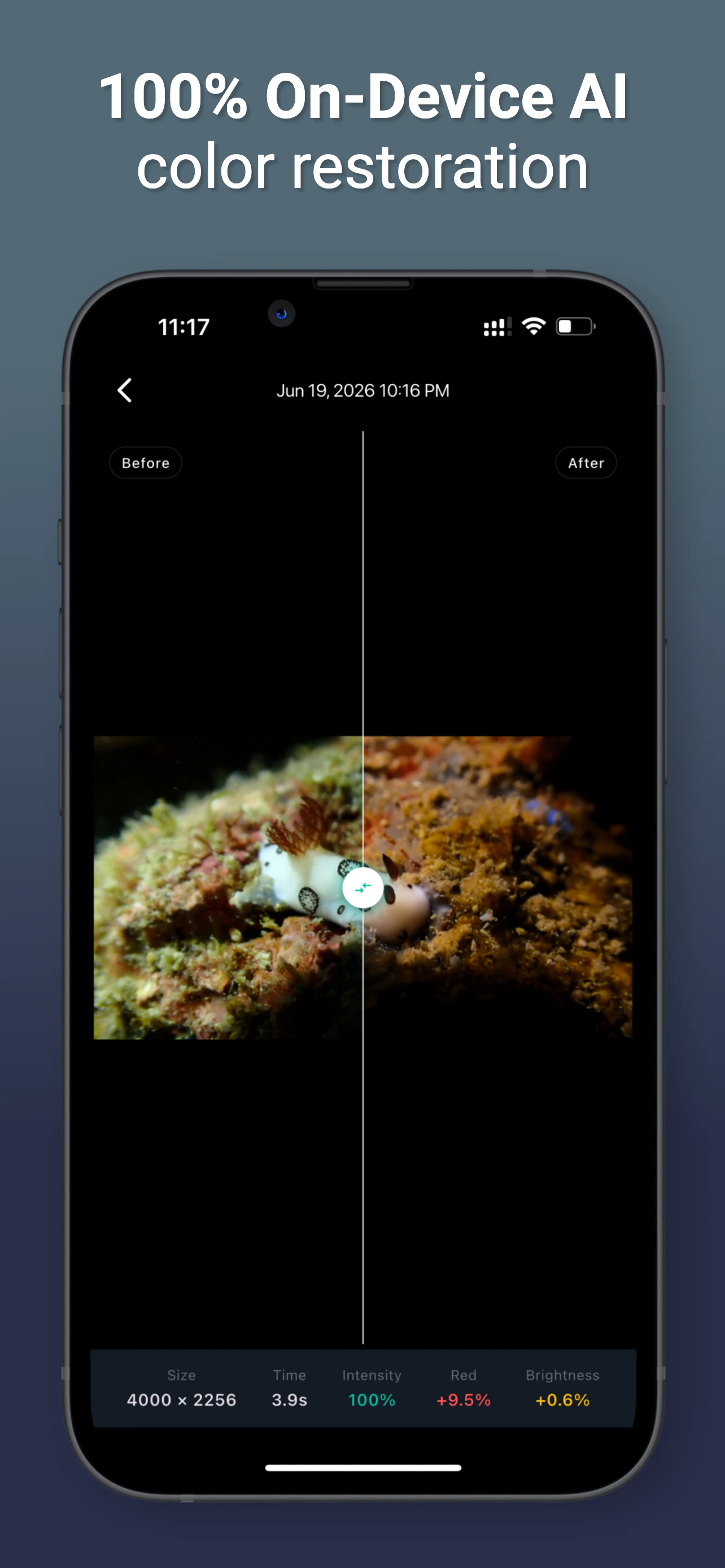 JellyFix: Underwater Colors Restore 截图 2