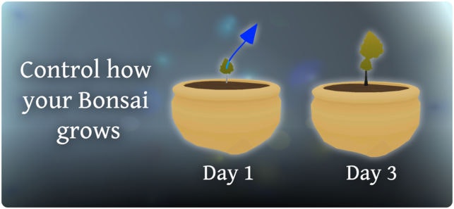 Pocket Bonsai gallery image