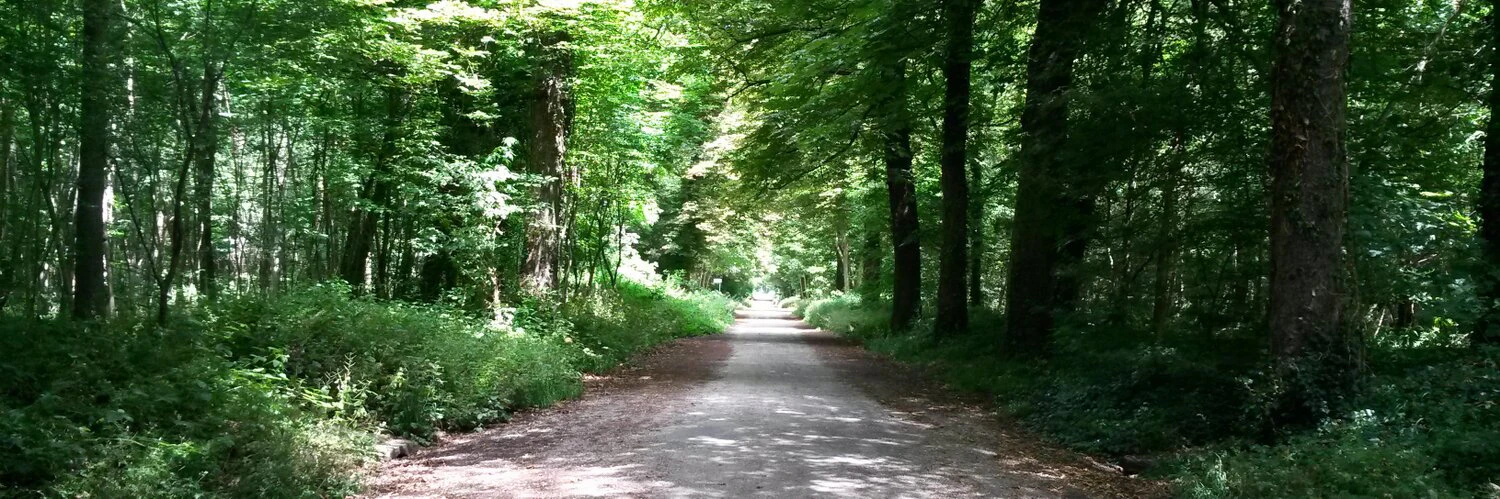 Maxime Lathuilière cover