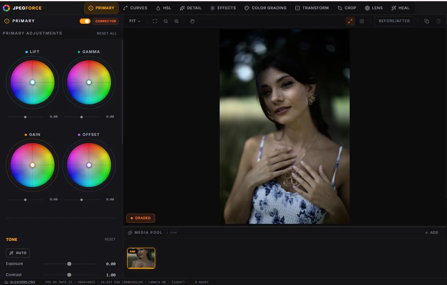 JpegForce — RAW Photo Editor  gallery image