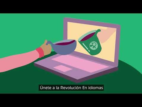 Poliglota gallery image