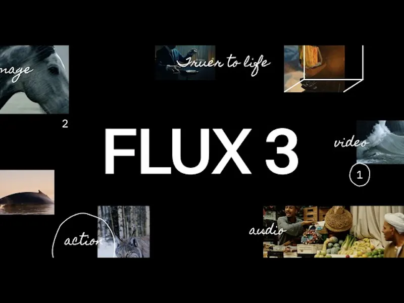 FLUX 3 Video screenshot 1 (video preview)