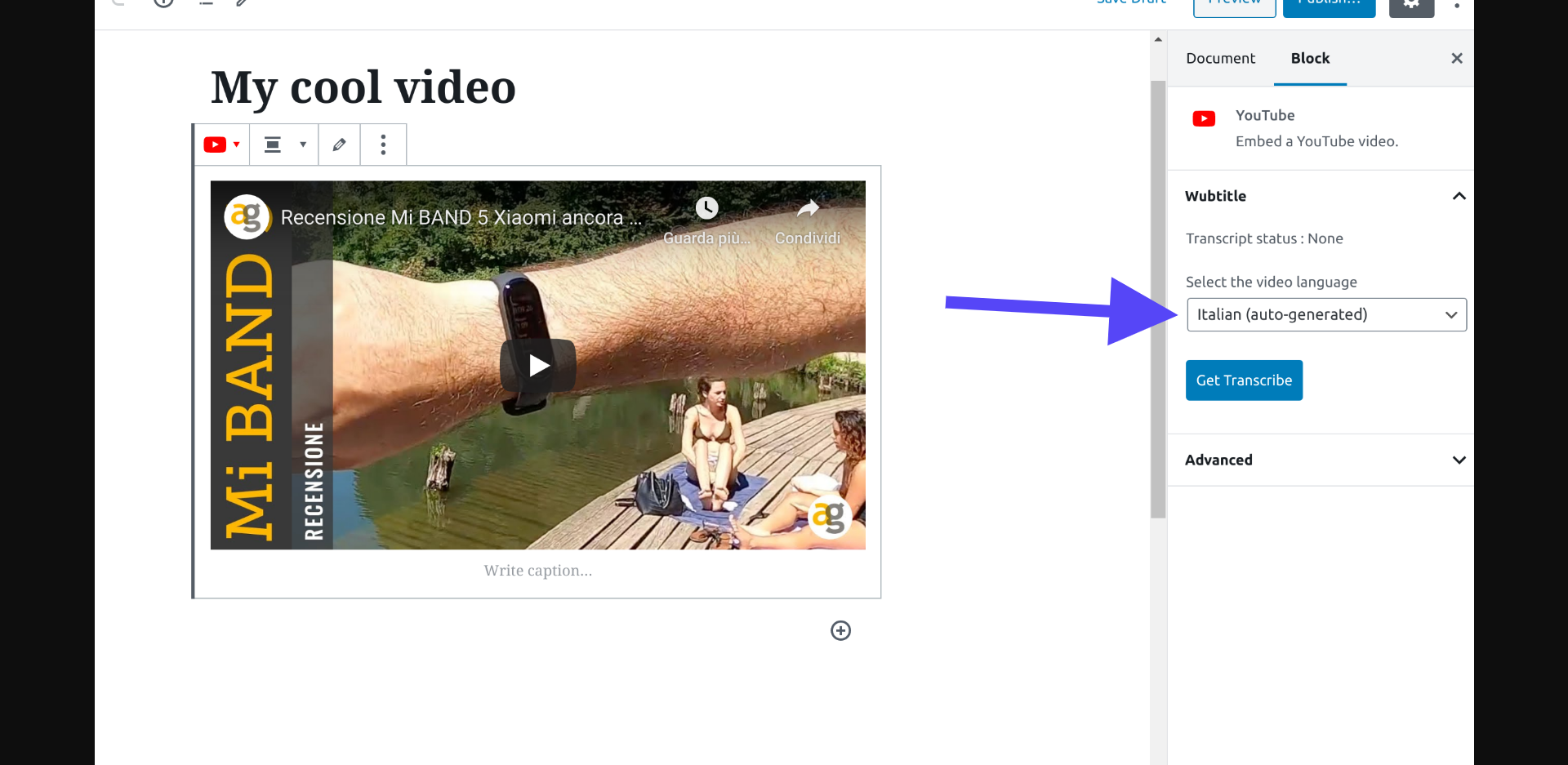 Wubtitle gallery image