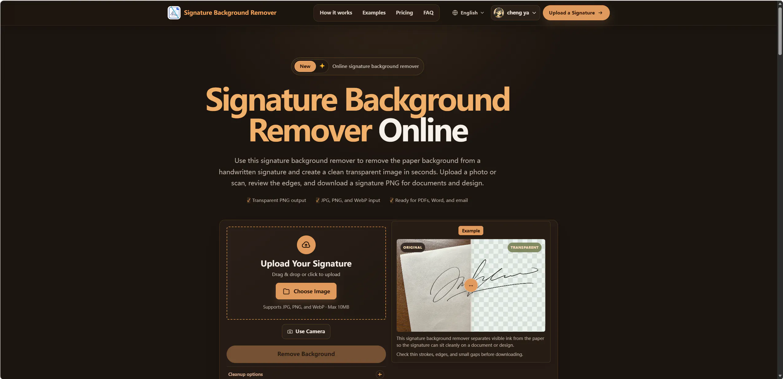 Signature Background Remover gallery image