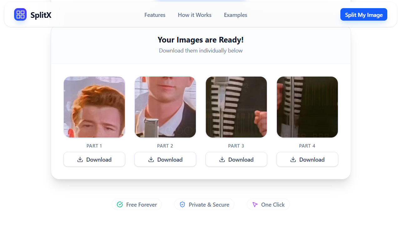 SplitX gallery image