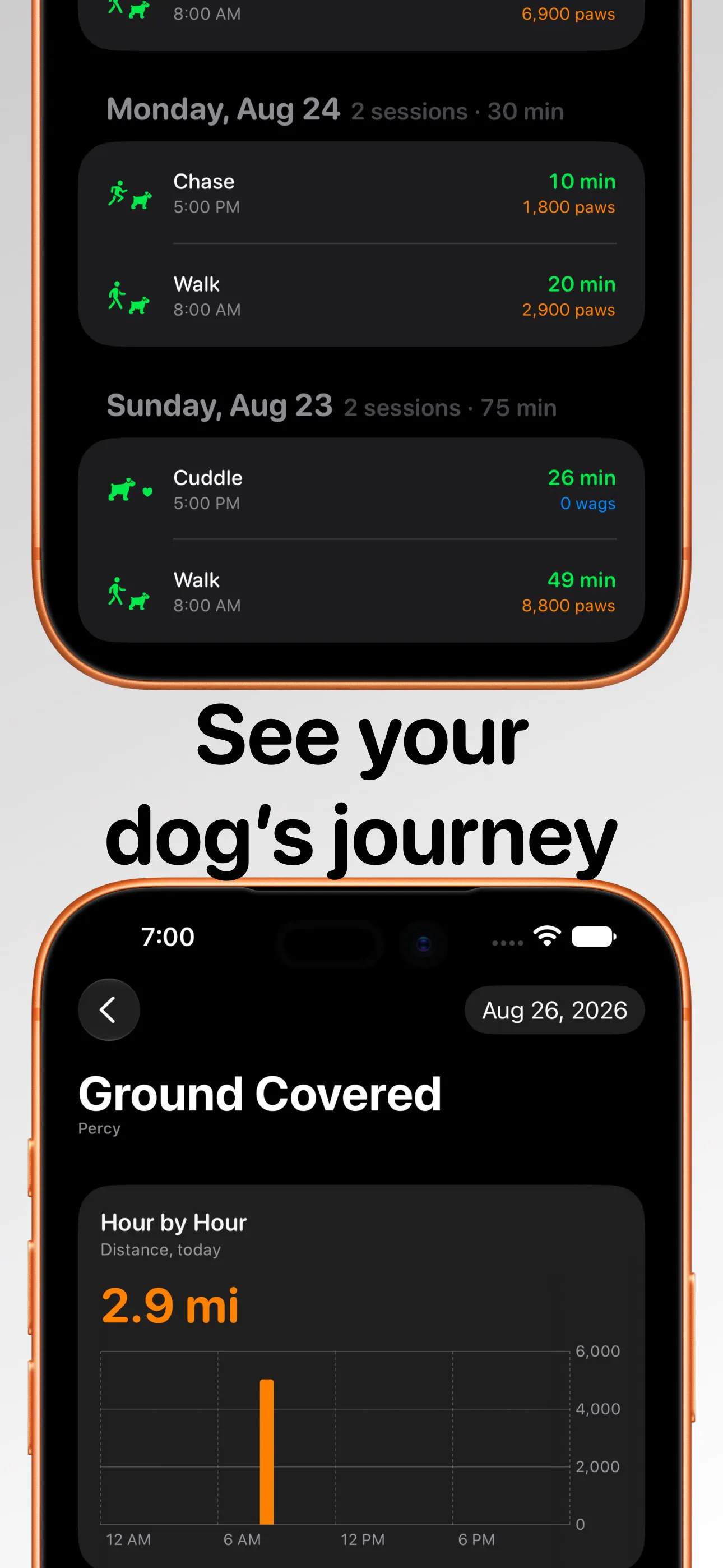 Zoomie - Dog Activity Tacker gallery image