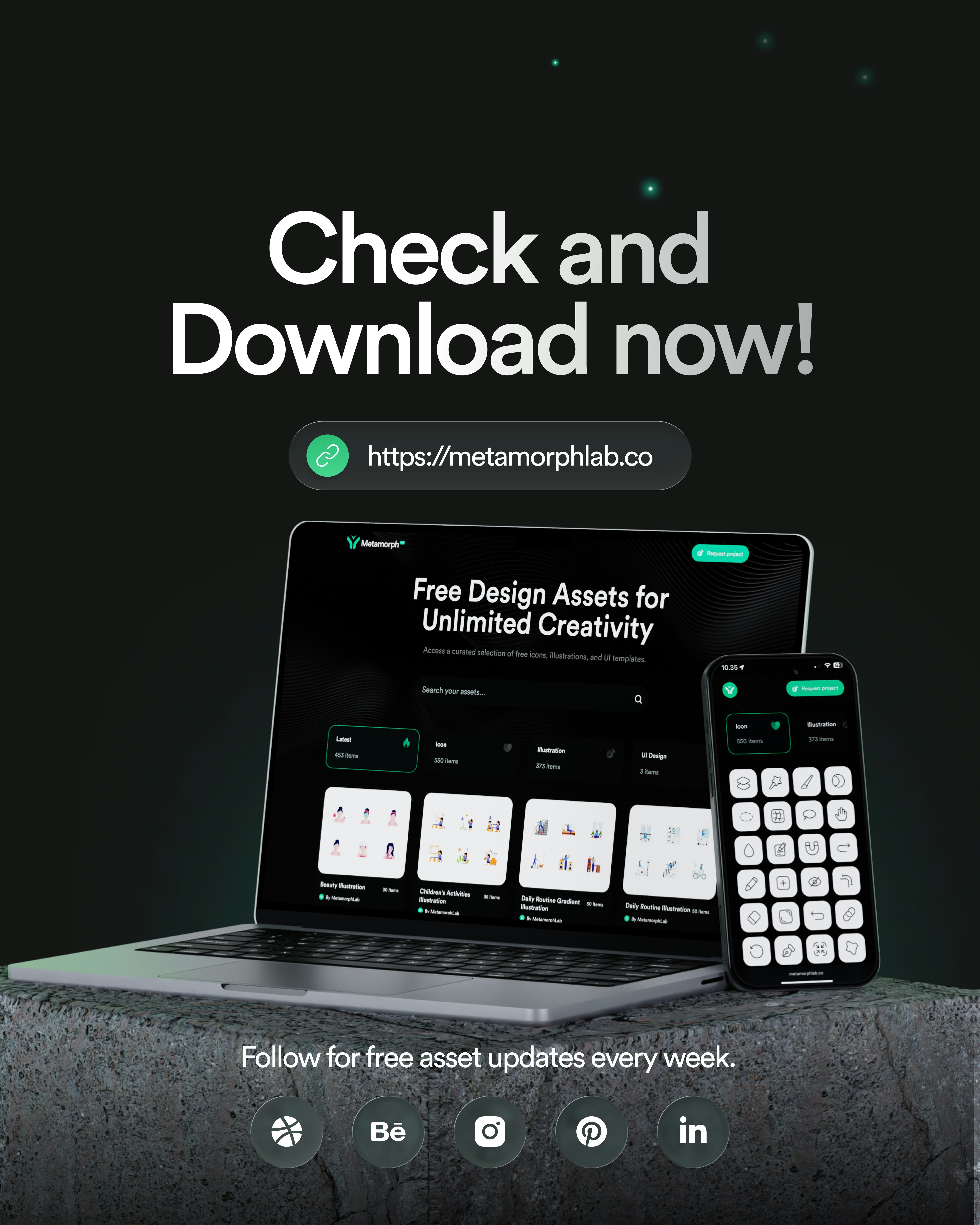 Metamorph Lab Website gallery image