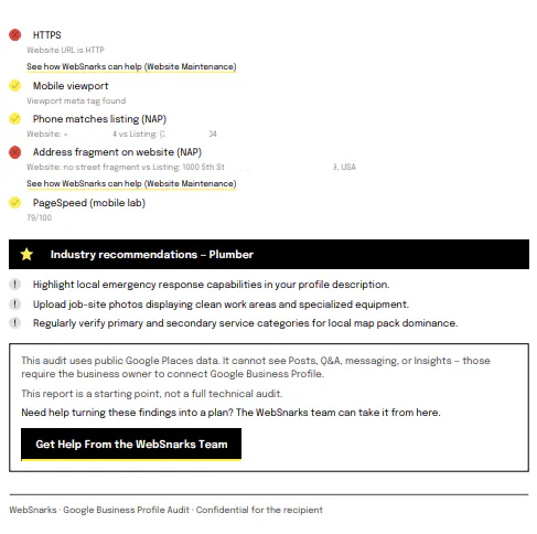 WebSnarks Google Business Profile Check gallery image