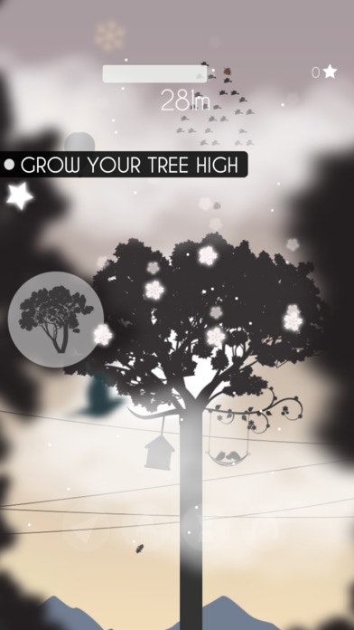 Clouds Above - Grow a tree gallery image