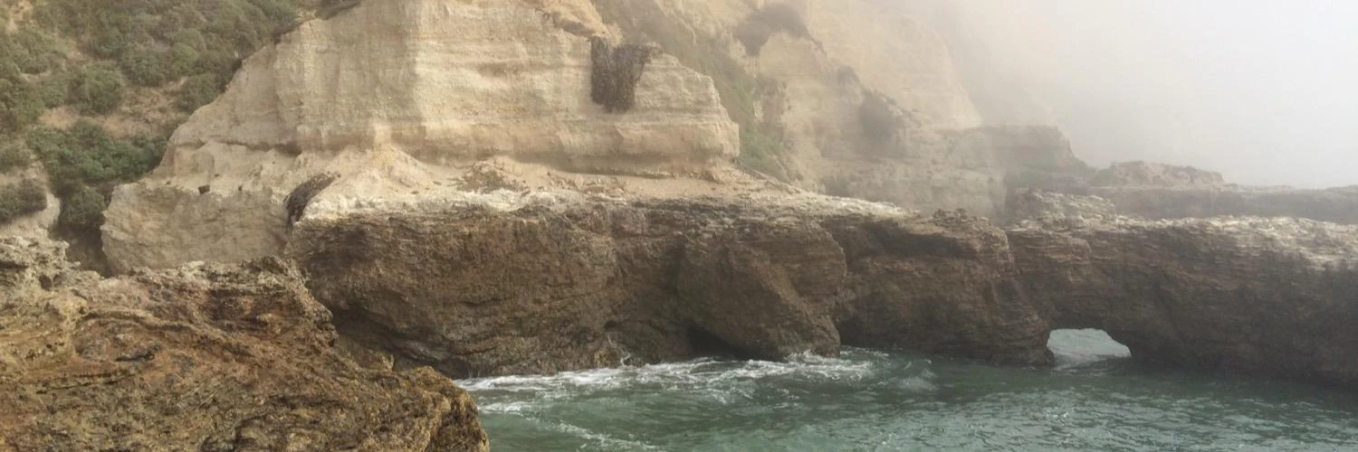 Chris Oryschak cover