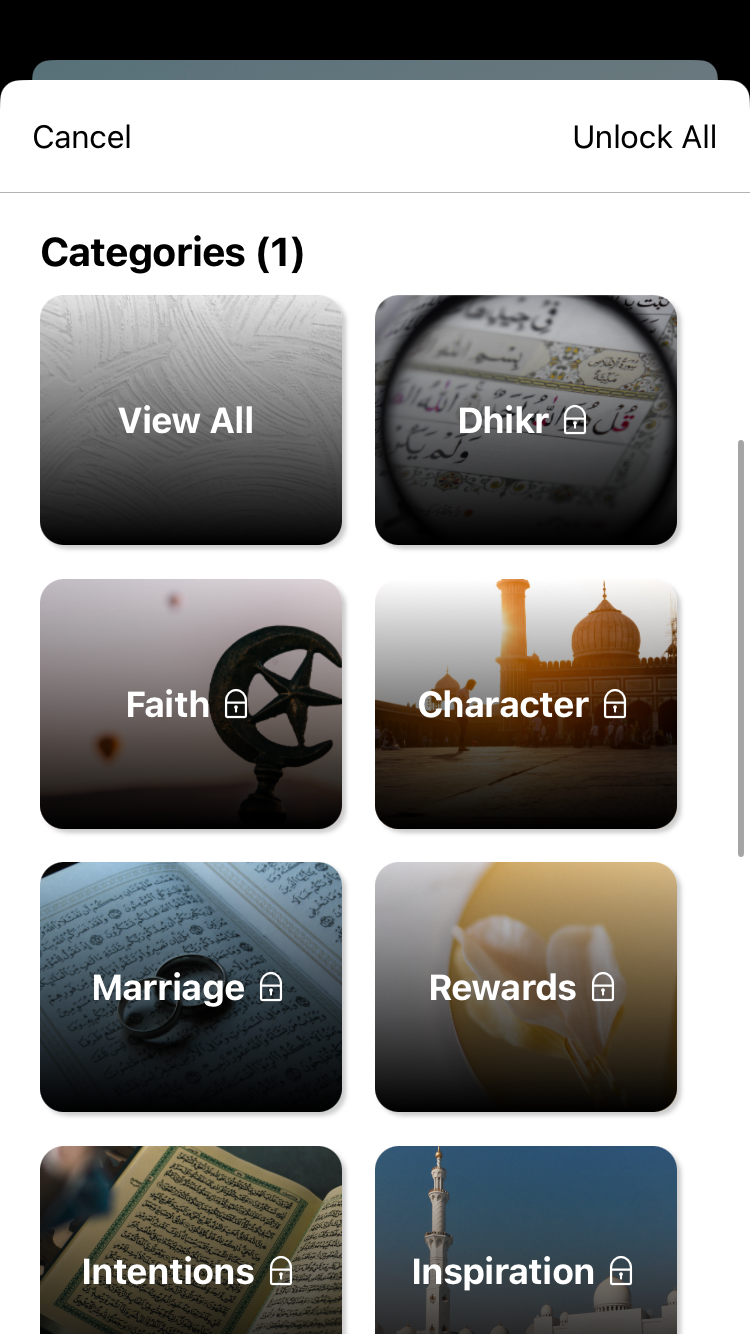 ArabicBridge media 2