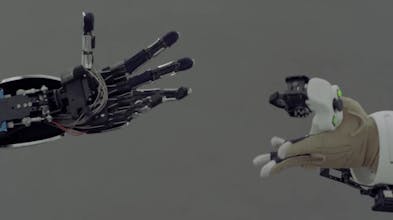 Meltin MMI gallery image