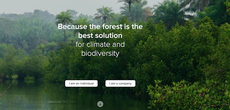 Reforest'action gallery image