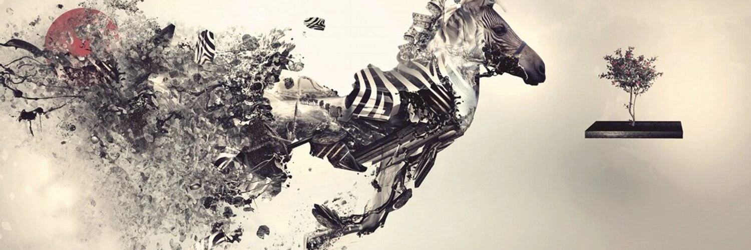 Sebastian Limbach cover