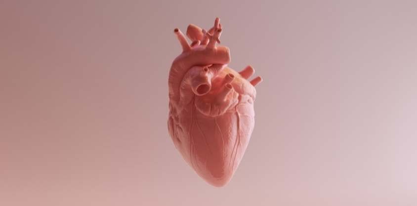 Heart Health Test gallery image