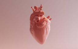 Heart Health Test media 2