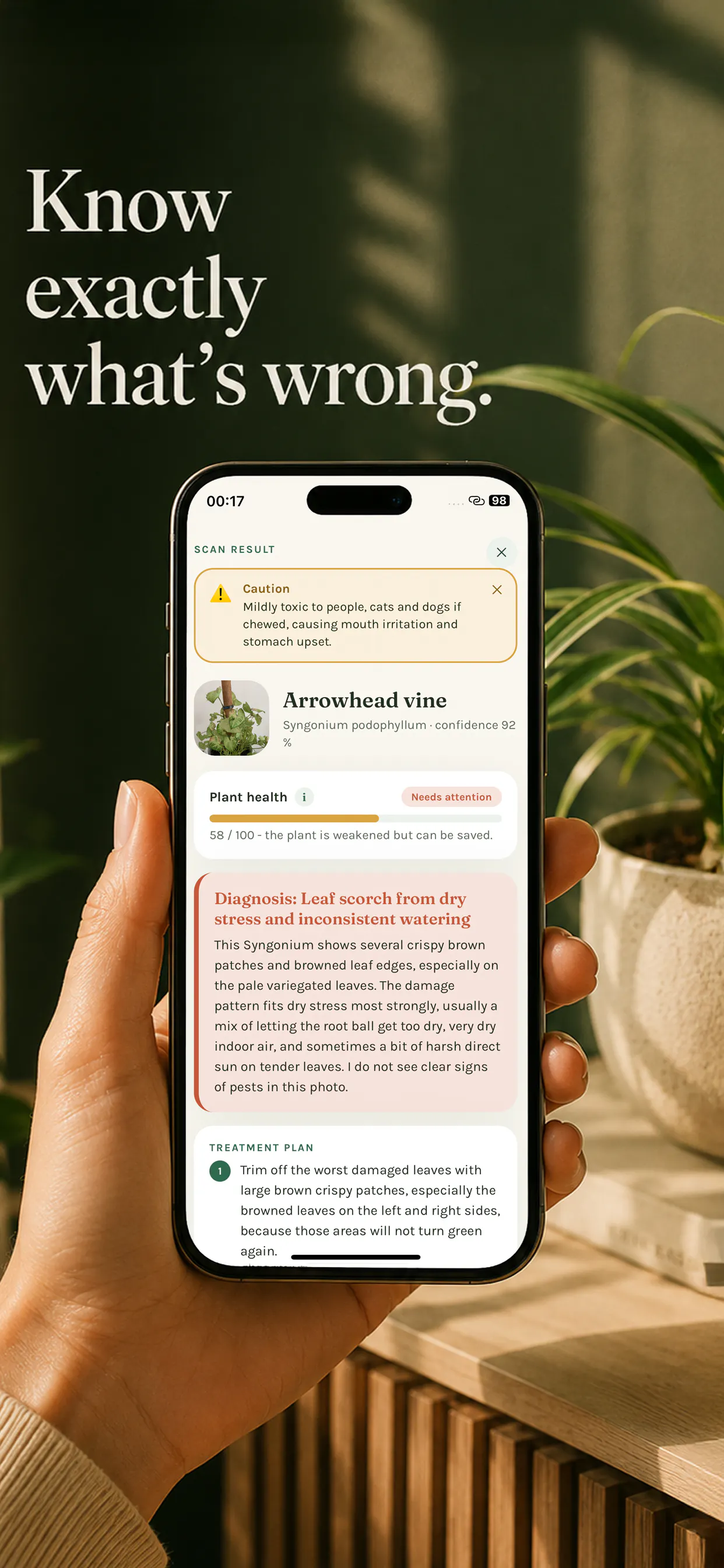 Gardenix: Your Plant Doctor gallery image