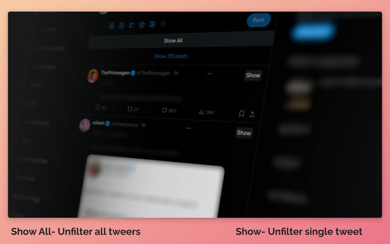 Filtro Twitter - Usa Twitter/X alle tue condizioni media 2