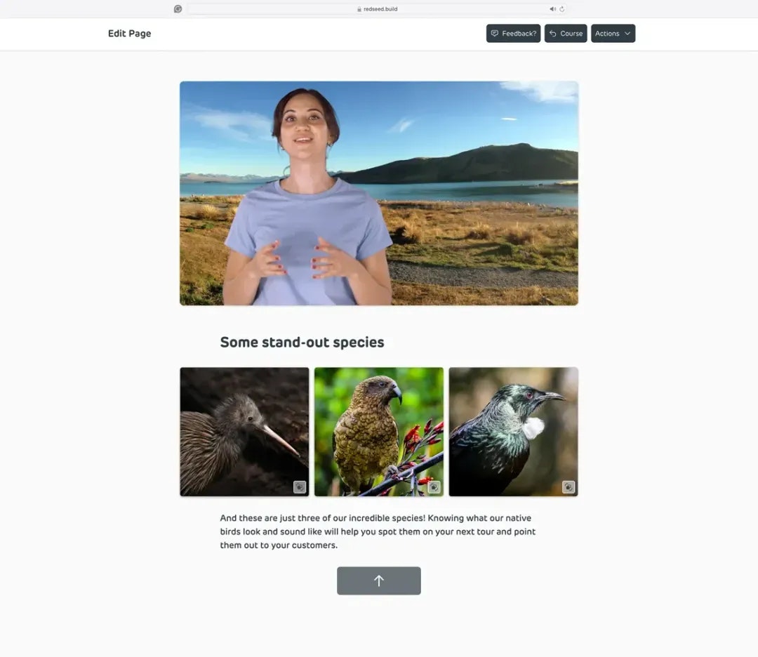 RedSeed.build media 4