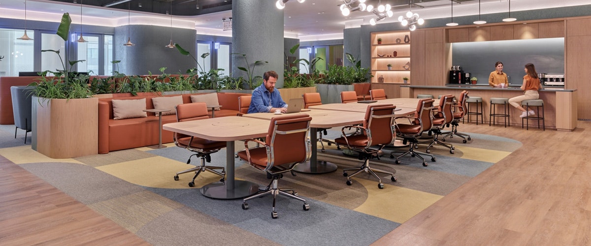 SemiDot Infotech gallery image