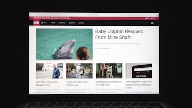 NFN (Nice Fake News) gallery image