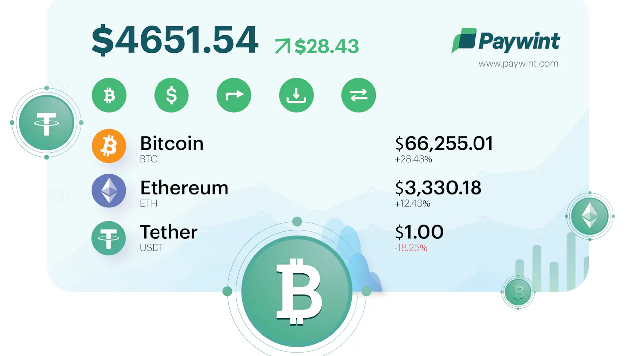Paywint Crypto Wallet product