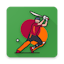 Live Cricket Scores & News