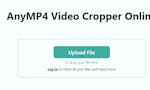 AnyMP4 Video Cropper Online image