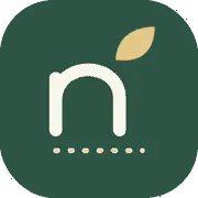 Name Trace Studio