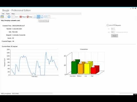 Beagle gallery image