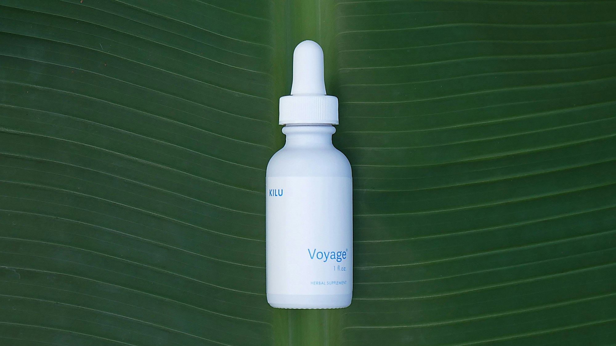 Voyage. The Solution to Jet Lag.