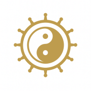 Palm Insight by Feng... logo
