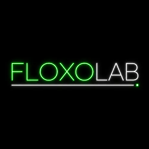 FloxoLab n8n Workflow Checker