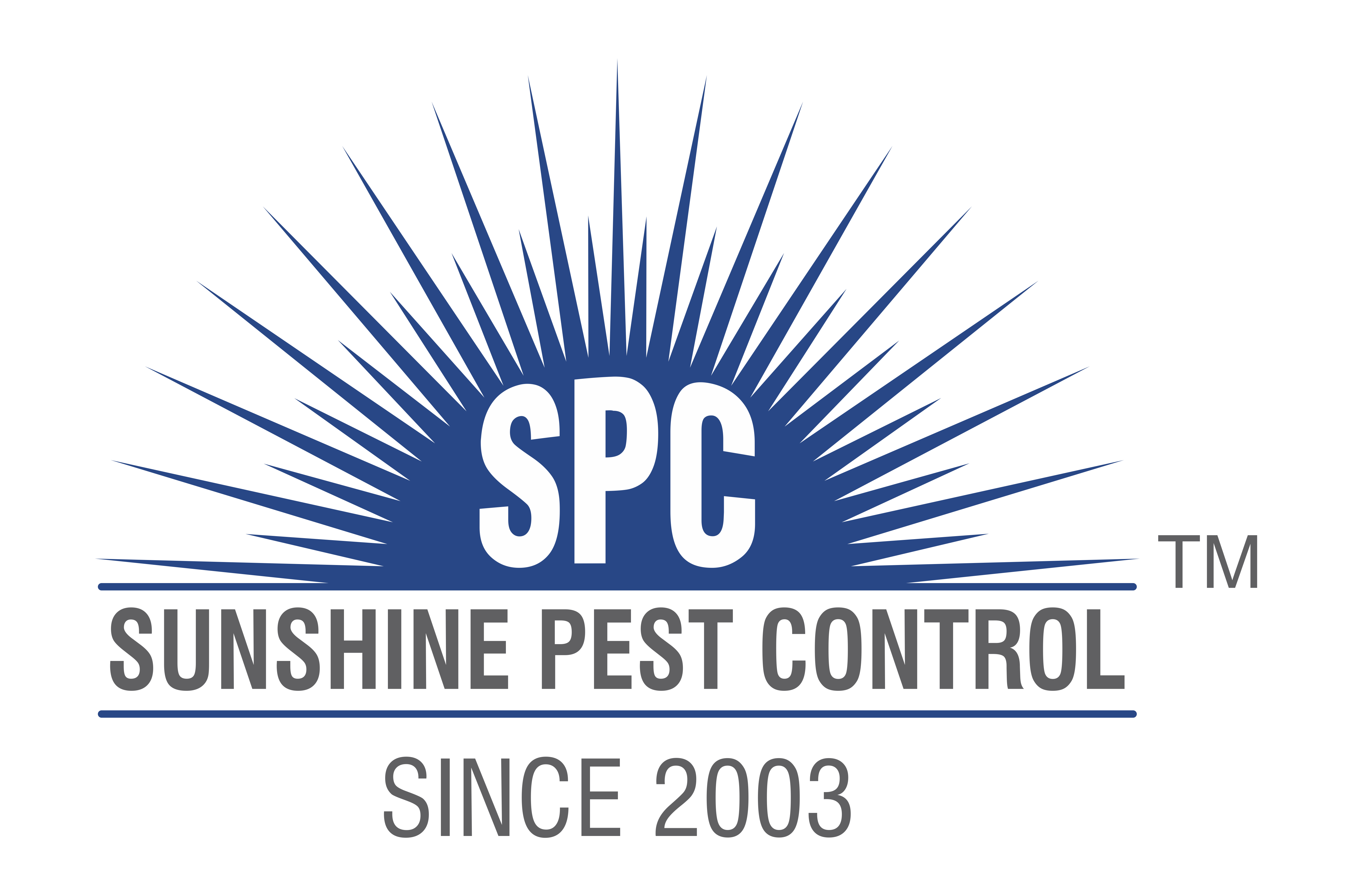 Termite treatment services in mohali 