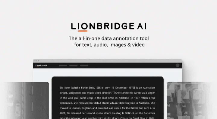 Lionbridge AI gallery image