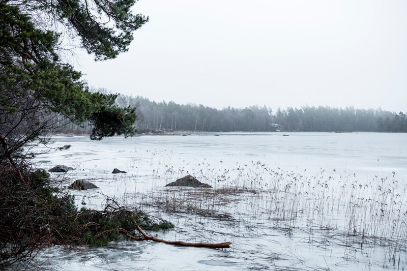 Stedsans - Roughly translated sense of direction or sense of locality gallery image