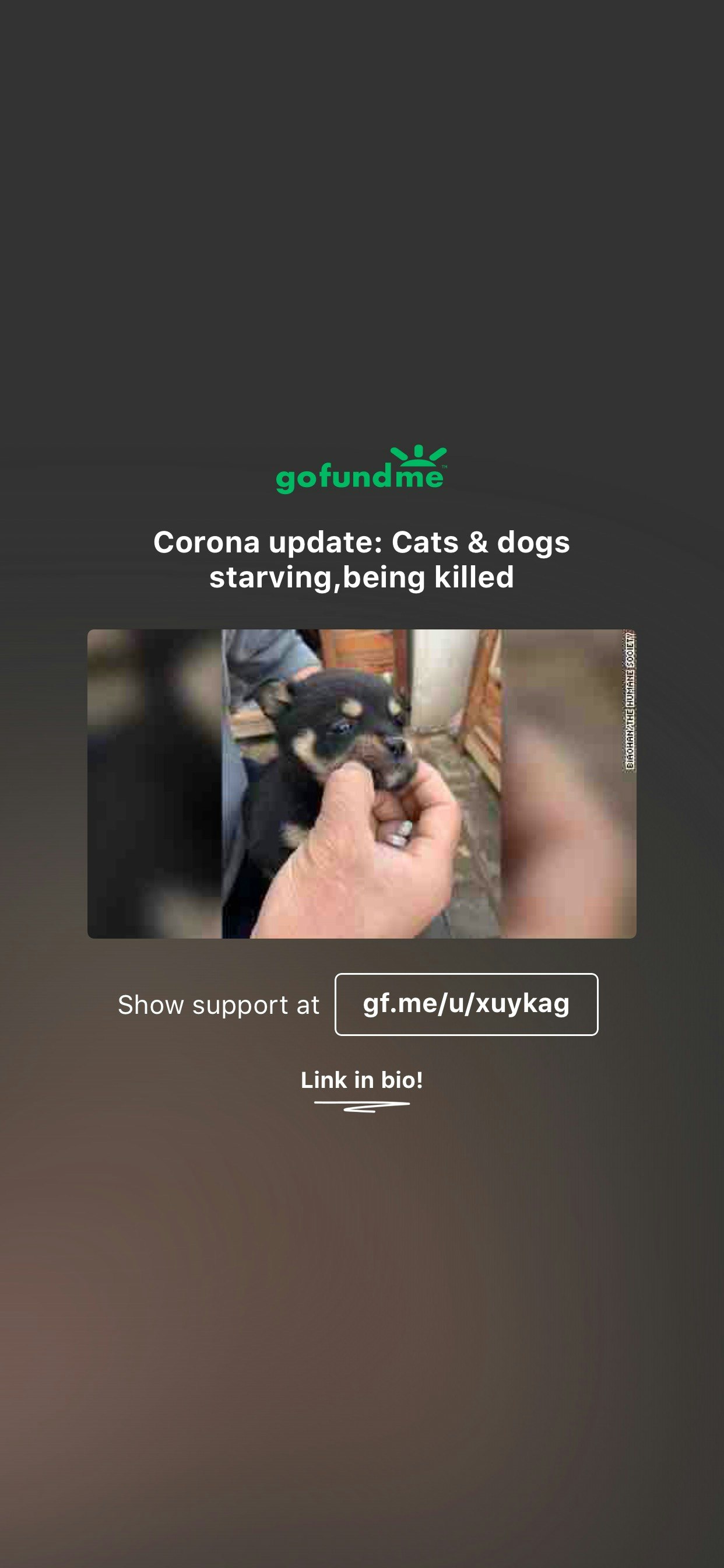 Mission Fire survivor support