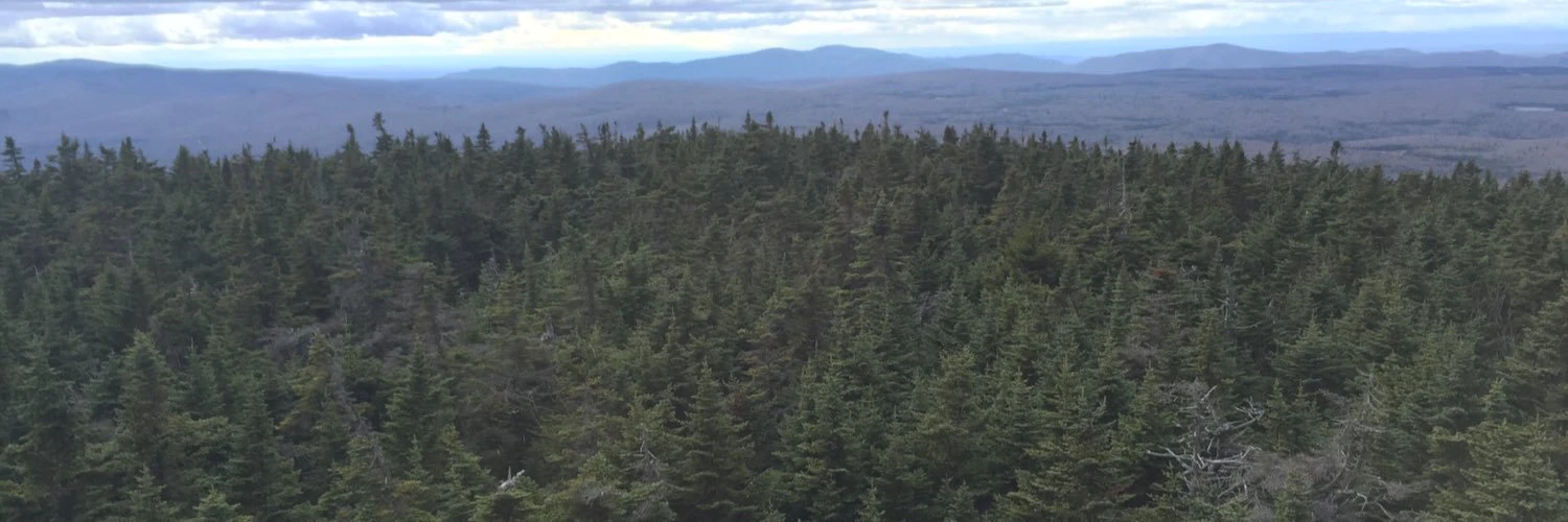 Brian Weinreich cover