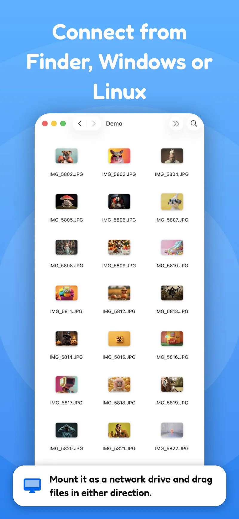 Everdisk screenshot 4