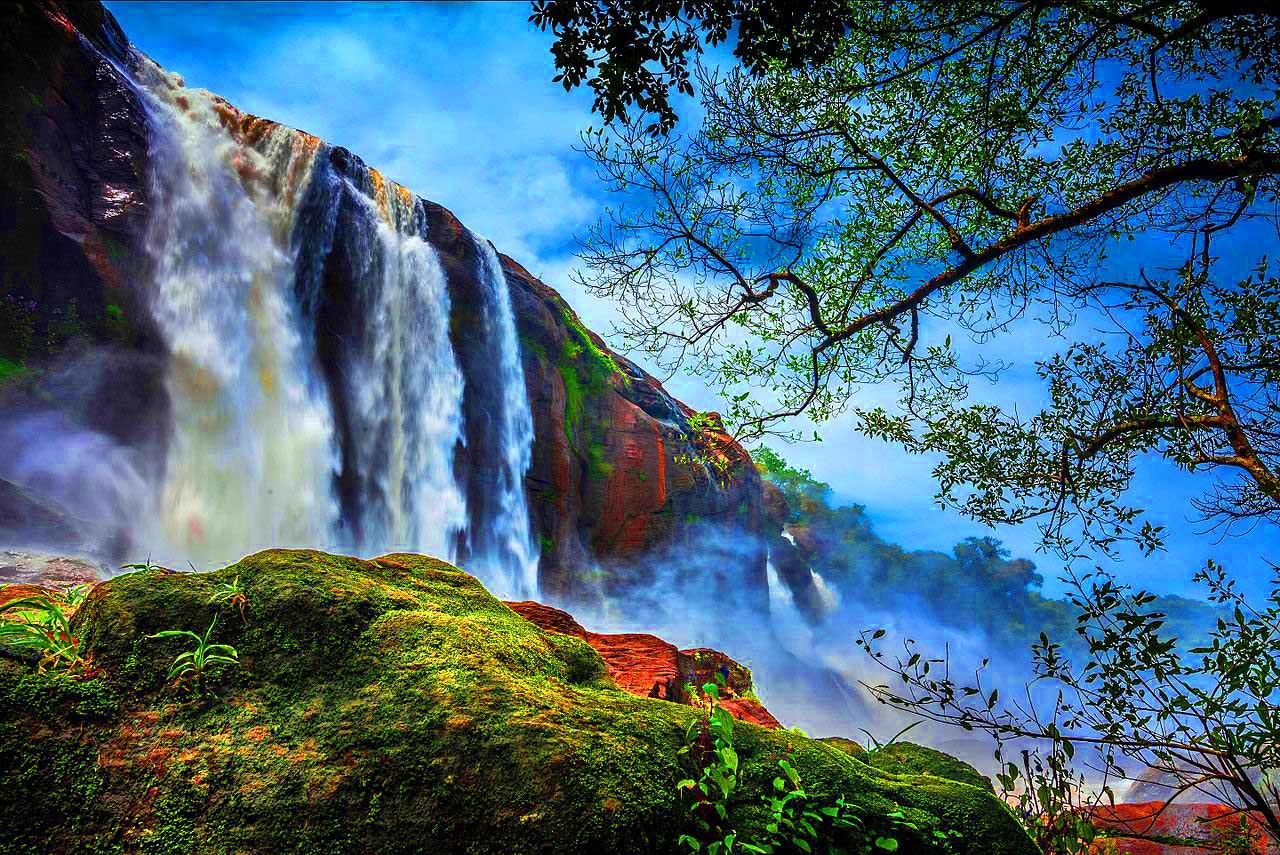 Munnar Tour Packages