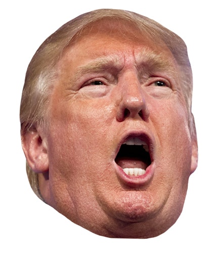 Trump Dump gallery image