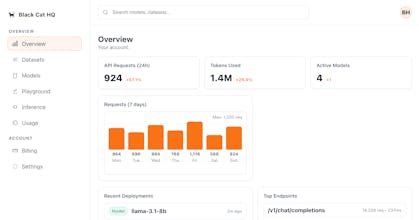 Black Cat HQ gallery image