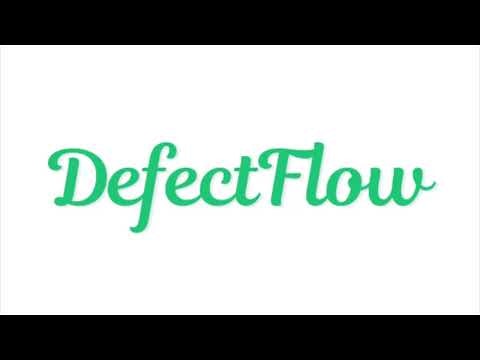 DefectFlow gallery image