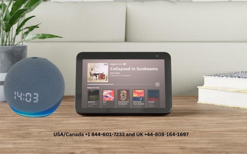 Alexa Not Responding to Voice Commands: