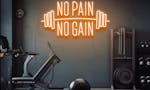 No Pain No Gain - LED Neon Sign image